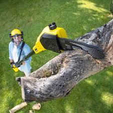 Best Lawn Mowing  in Middleburg, PA